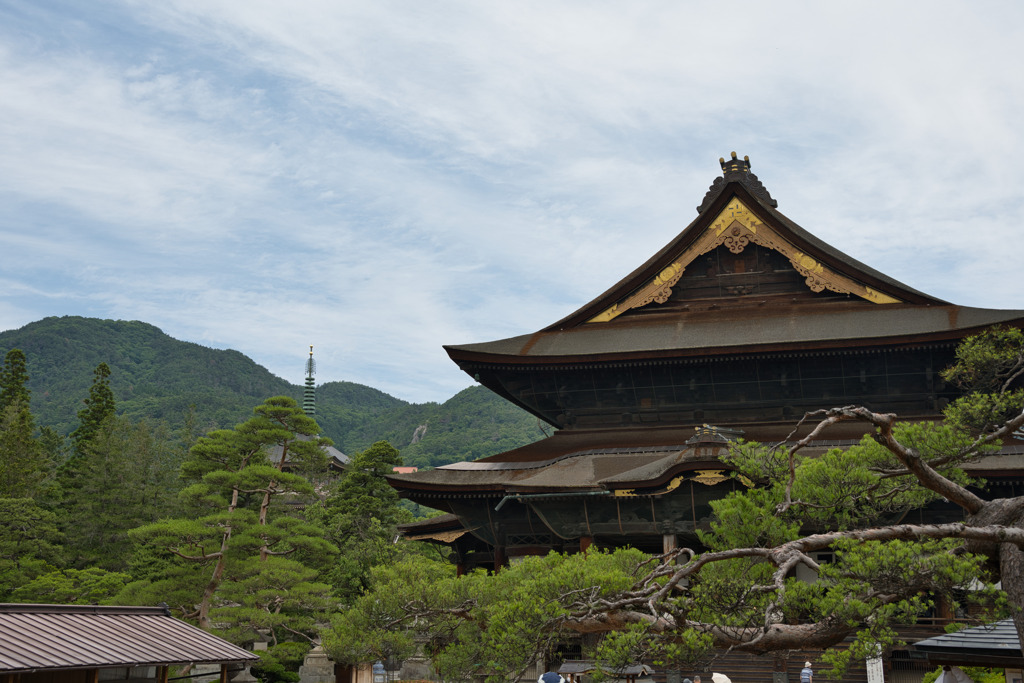 山門から　本堂　善光寺