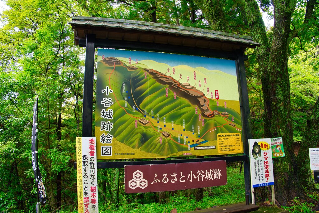 クマ出没がリアル　