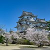 桜と天守　伊賀上野城跡☆