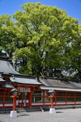 熊野速玉神社☆