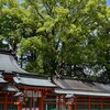熊野速玉神社☆