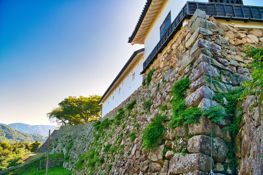 多門櫓と石垣　彦根城