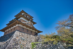 高島城　日本100名城