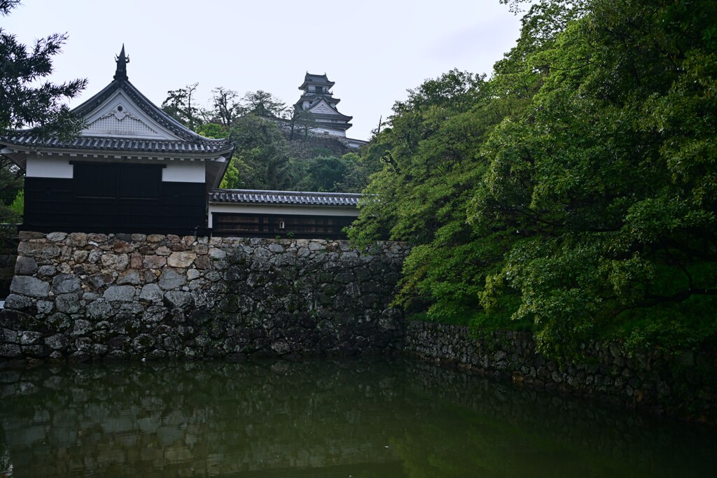 堀跡から　高知城