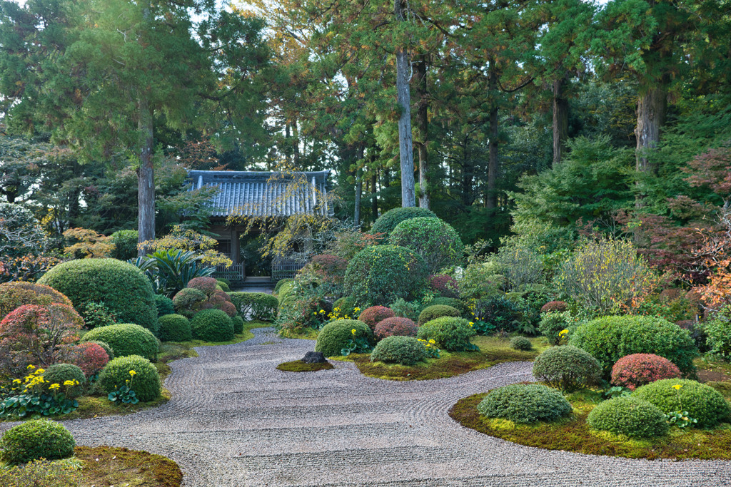 遠州の古刹　龍澤寺☆