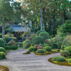 遠州の古刹　龍澤寺☆