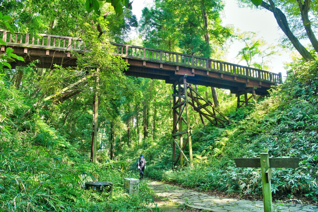 滝山城跡　木橋