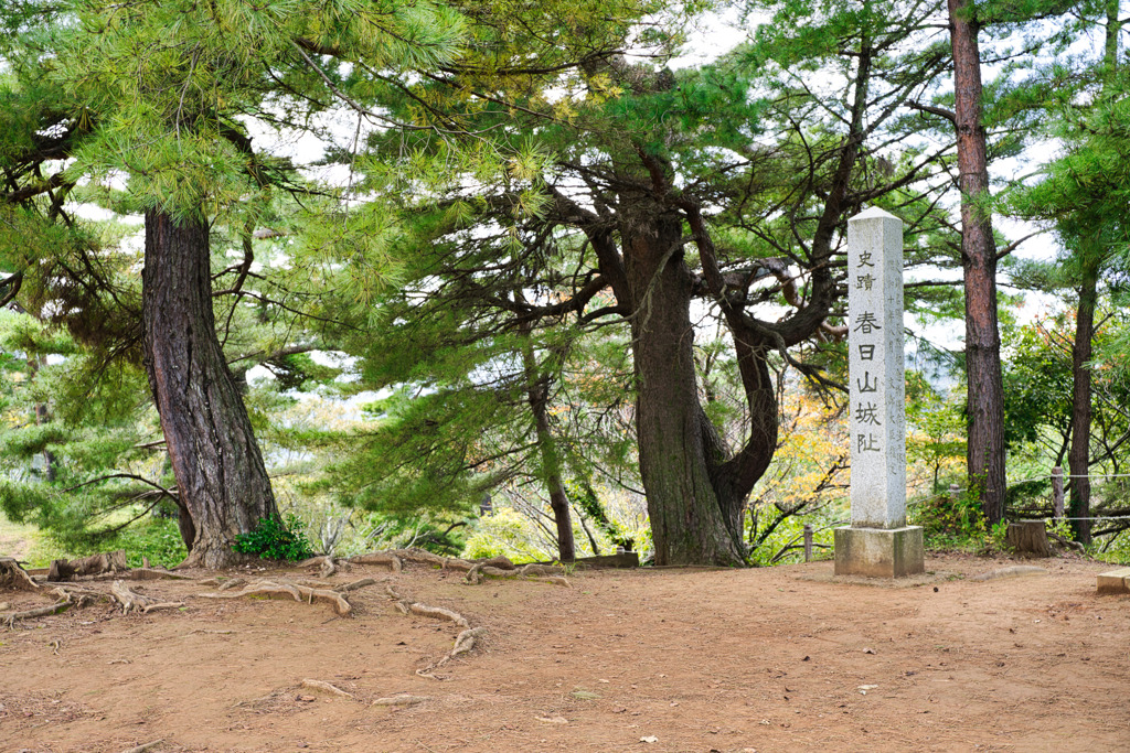 春日山城址　日本100名城