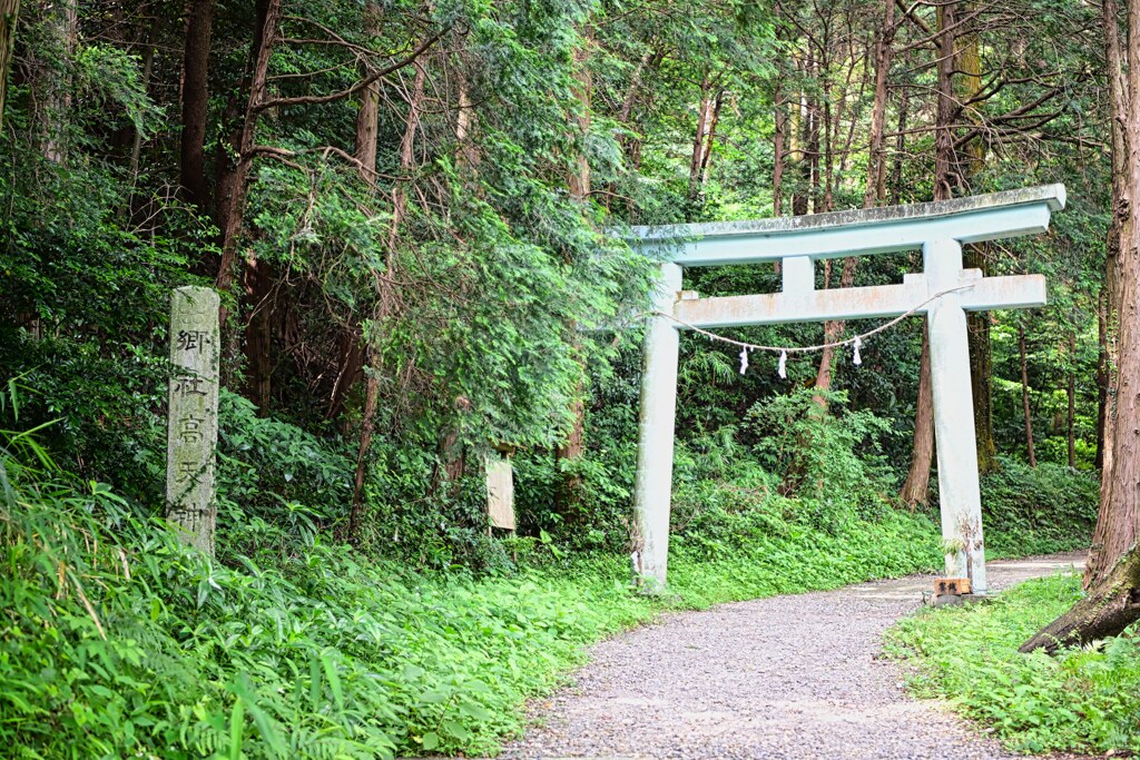 高天神城　入り口