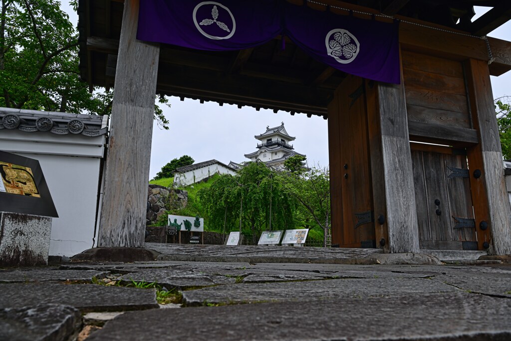 天守閣を望む　掛川城