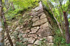 八幡城跡　石垣