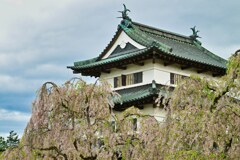 天守と桜　広前城　現存12天守