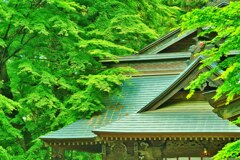 緑を纏う