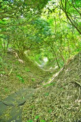 この先大丈夫？　脇本城