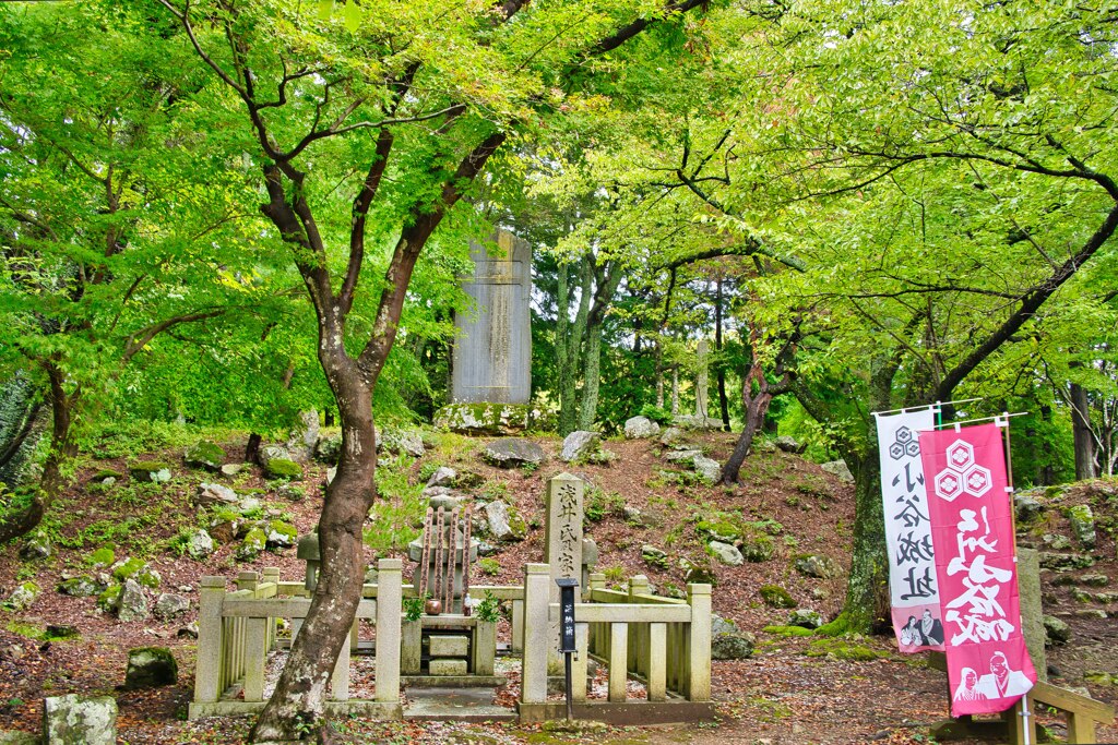 日本100名城　N0.109　小谷城址