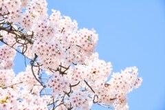 日和