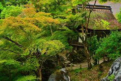 三十八所権現社　