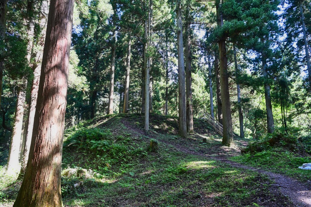 増山城　鐘楼堂跡　日本100名城