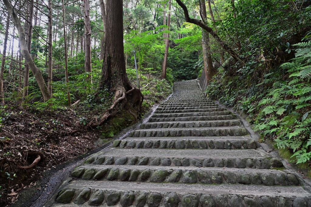 結構急峻…　高天神城　