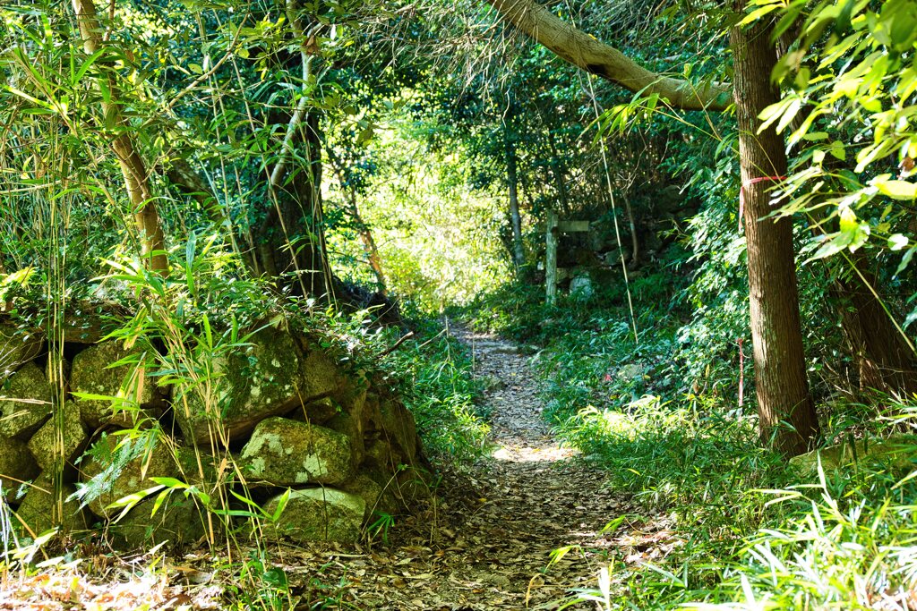 石垣を発見　06観音寺城跡