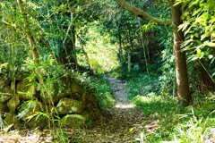 石垣を発見　06観音寺城跡