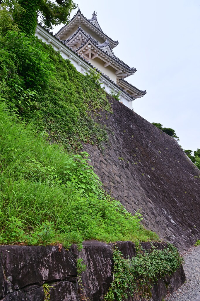 城壁　掛川城