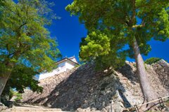 太鼓門櫓　彦根城