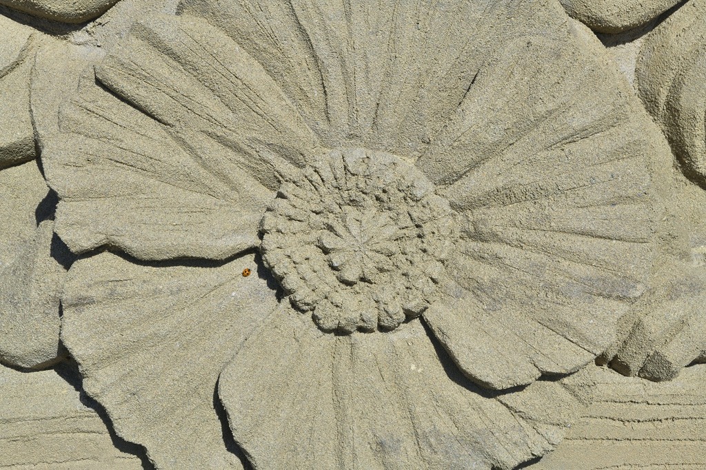 花とてんとう虫　　Sand image