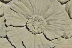 花とてんとう虫　　Sand image