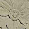 花とてんとう虫　　Sand image