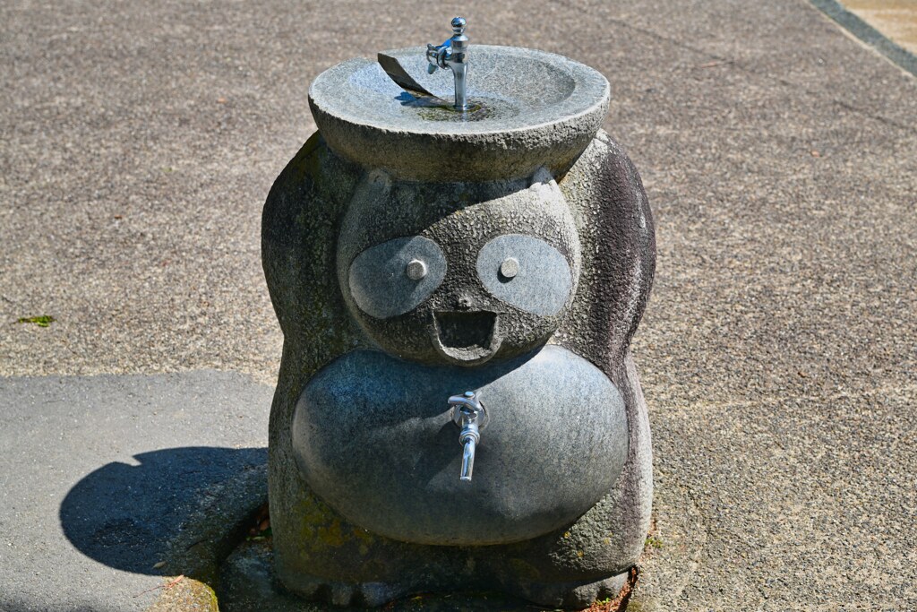 お水どうぞ―　たぬき広場