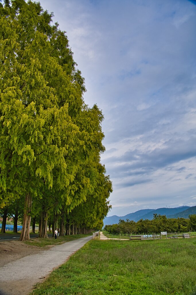 どこま～でも…