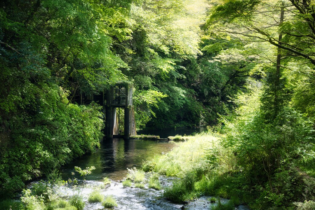 水門