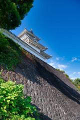 日本100名城　掛川城　城壁☆