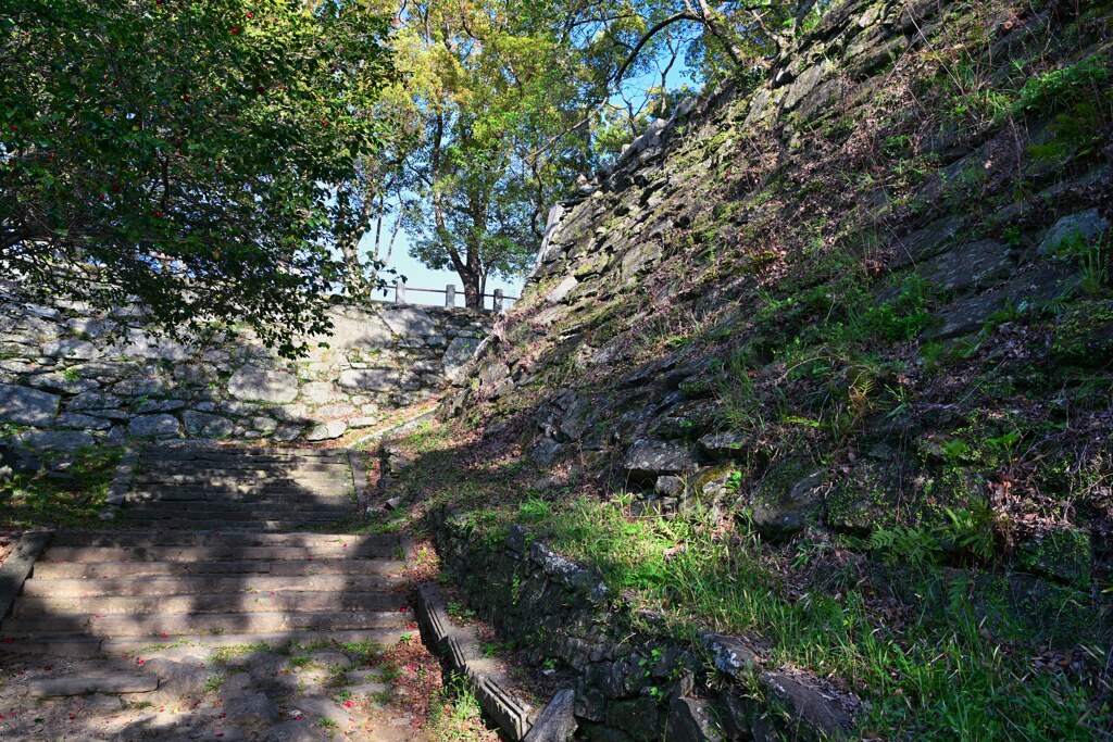 徳島城跡　日本100名城