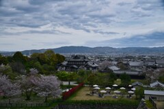 天守台から　大和郡山城跡