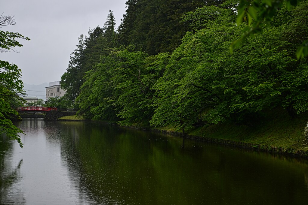 雨の菱門橋　米沢城址