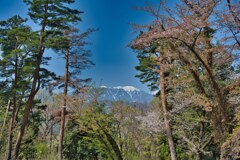 本丸跡から望む　新府城