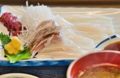 函館朝市　イカ刺定食