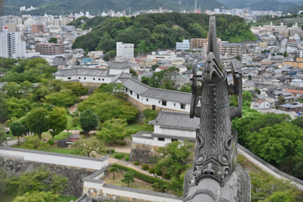鯱瓦と百閒廊下