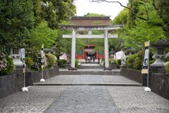 お宮参り　浅間神社