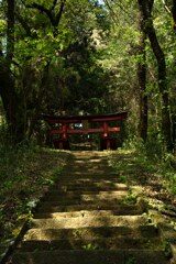 日本100名城　新府城　藤武神社