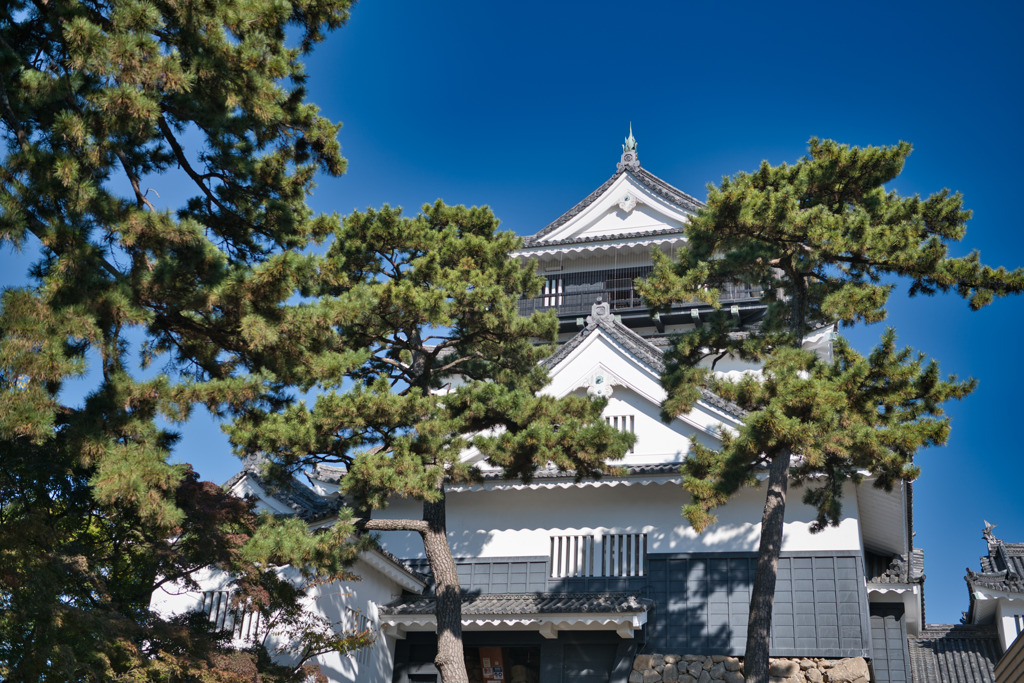 日本100名城　No.22　岡崎城　