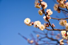 今日は暖か