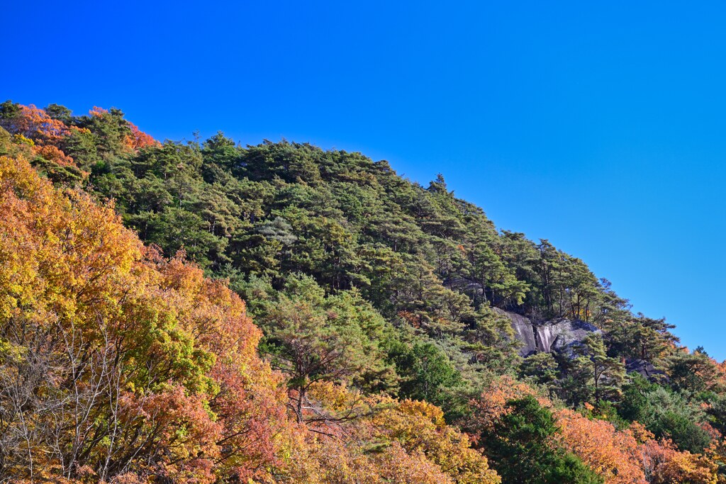 昇仙峡の秋