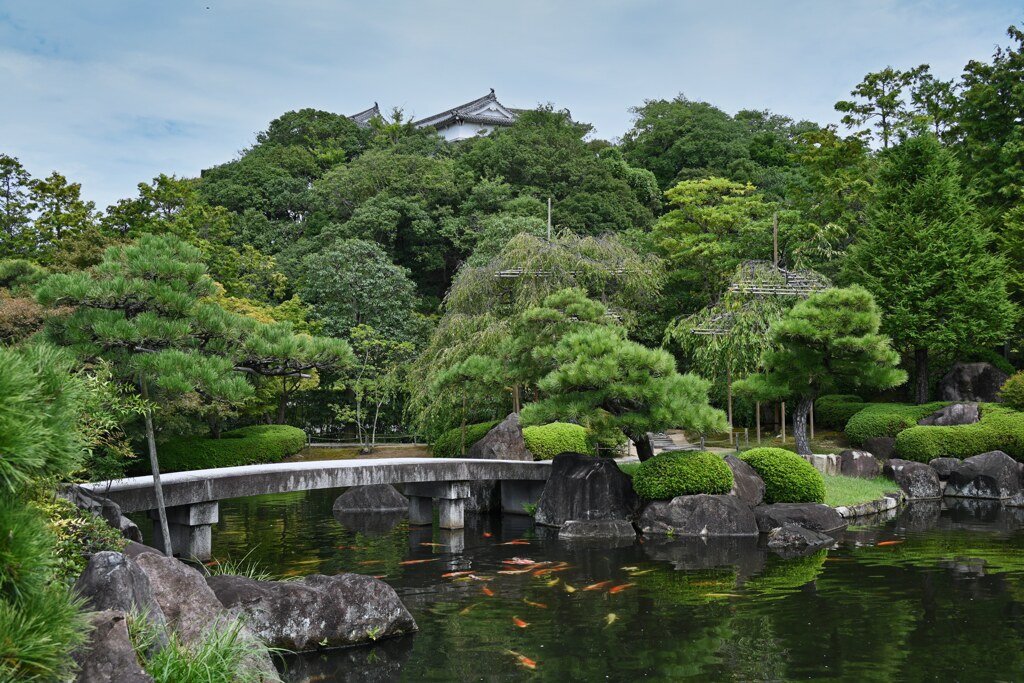 覗く姫路城