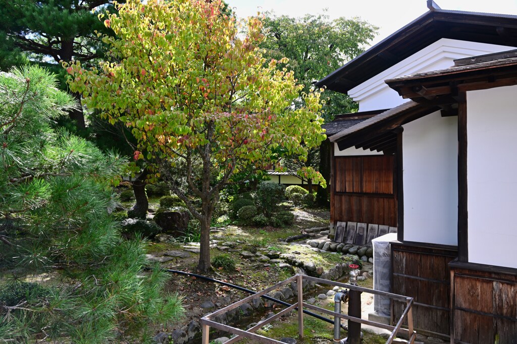 扇面の間から　高山陣屋