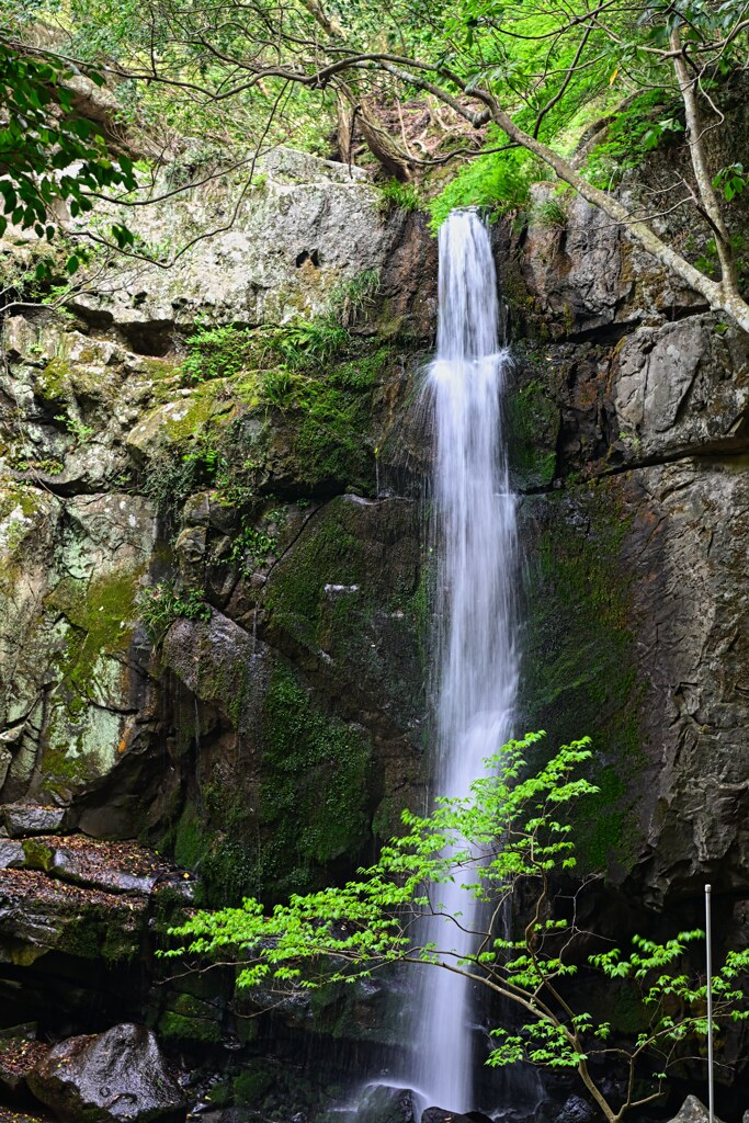 鮎屋の滝