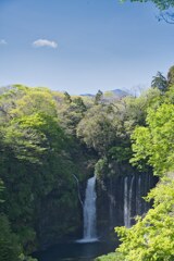 白糸の滝　上から