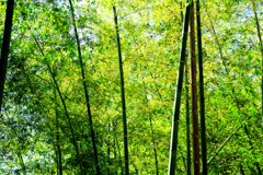 深呼吸